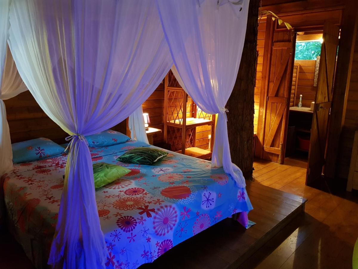 La Creolina Villa Sainte-Rose Dış mekan fotoğraf